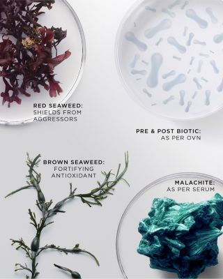 The Brilliant Radiant Resilience Moisturizer