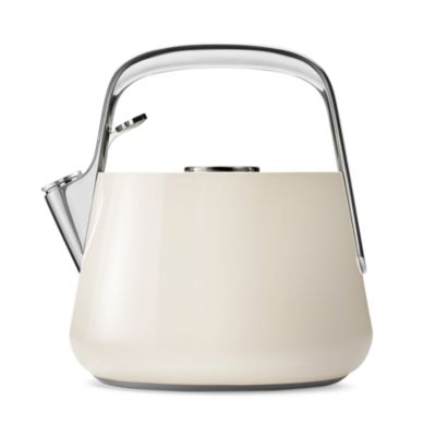 Stainless Steel Tea Kettle