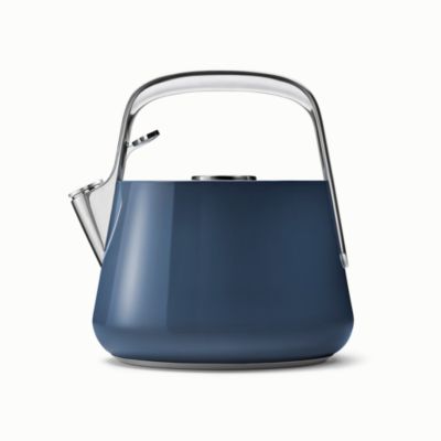 Stainless Steel Tea Kettle