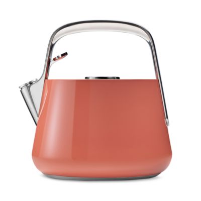 Stainless Steel Tea Kettle
