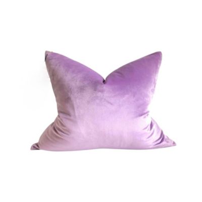 Modish Decor Pillows Velvet Decorative Pillow Cover, 24 x 24