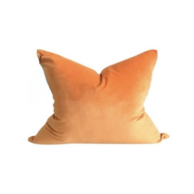 Modish Decor Pillows Velvet Decorative Pillow Cover, 24 x 24