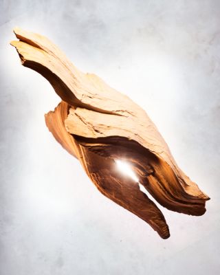 Allegra Magnifying Sandalwood Eau de Parfum 1.35 oz.