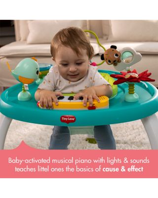 Meadow Days Stationary Activity Center - Ages 6 months+