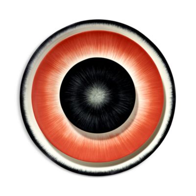 D&eacute; Plate Var 3