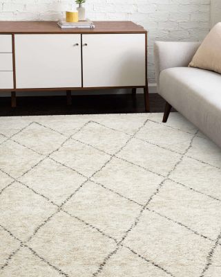Amira S1121 Area Rug, 5'  x 8' 