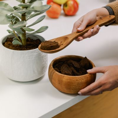 TrueBrew Automatic Coffee Maker with Bean Extract Technology - Stainless