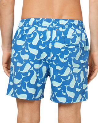 Whale Print 6" Swim Trunks