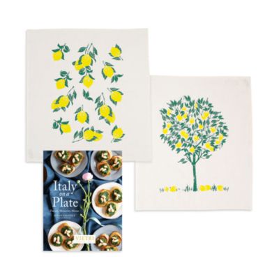 Italy on a Plate: Travels, Memories, Menus Cookbook