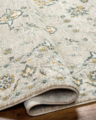 Dresden DRE-2311 Area Rug, 2' x 3'