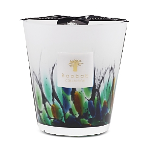 Baobab Collection Max 16 Rainforest Amazonia Candle