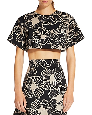 Max Mara Apotema Floral Crop Top In Black