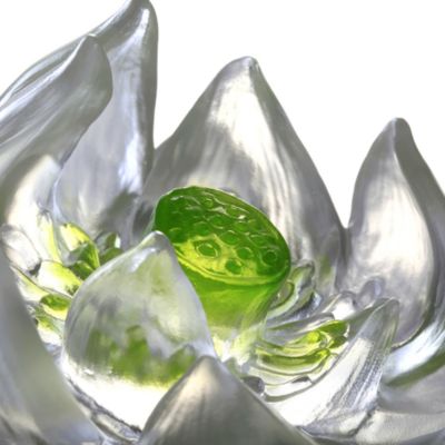 Tranquil Heart Lotus Flower 