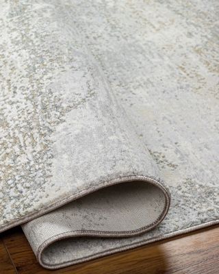 Livabliss Brunswick BWK-2328 Area Rug, 2&#39;7&amp;quot; x 4&#39;