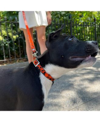 Small Red Leopard Leather Adjustable Dog Collar