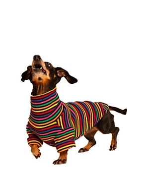 Little Beast Fantastic Sweatshirt For Dogs In Multicolor
