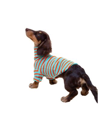Little Beast Life's a Beach Sweatshirt for Dogs