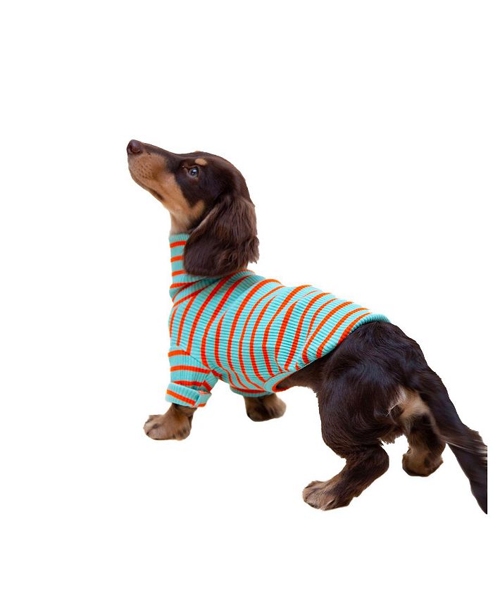 Little Beast Life's a Beach Sweatshirt for Dogs Bloomingdale's