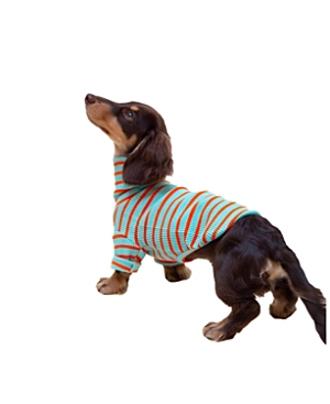 Little Beast Life's A Beach Sweatshirt For Dogs In Baby Blue And Orange
