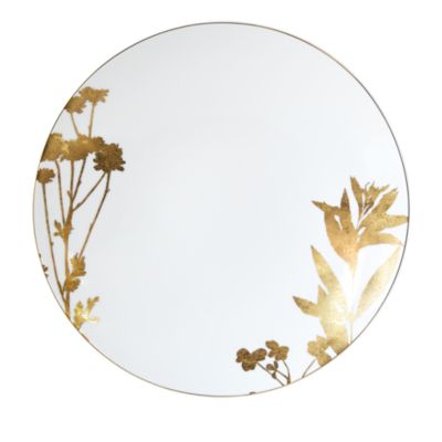 Vegetal Or Assorted Dinner Plates, Set of 4 