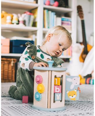 FSC 100% Rolling Activity Sorter - Ages 12 Months +