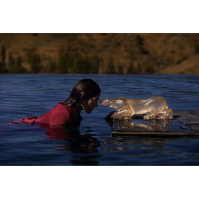 Timbavati Lion, Gold Luster