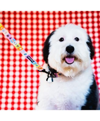 Happy Walking Dog Leash