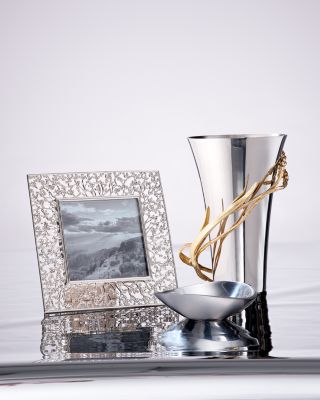 Silver Isadora Frame Collection