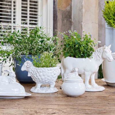 Clever Creatures Turtle Salt and Pepper Set