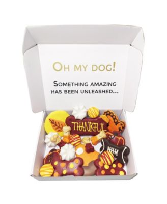 Thankful Themed Dog Treats Gift Box