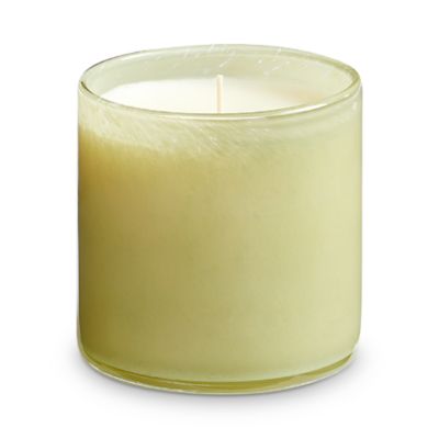 Wild Honeysuckle Signature Candle, 15.5 oz.