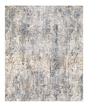 SURYA CARDIFF CDF-2302 AREA RUG, 7'10 X 10'3