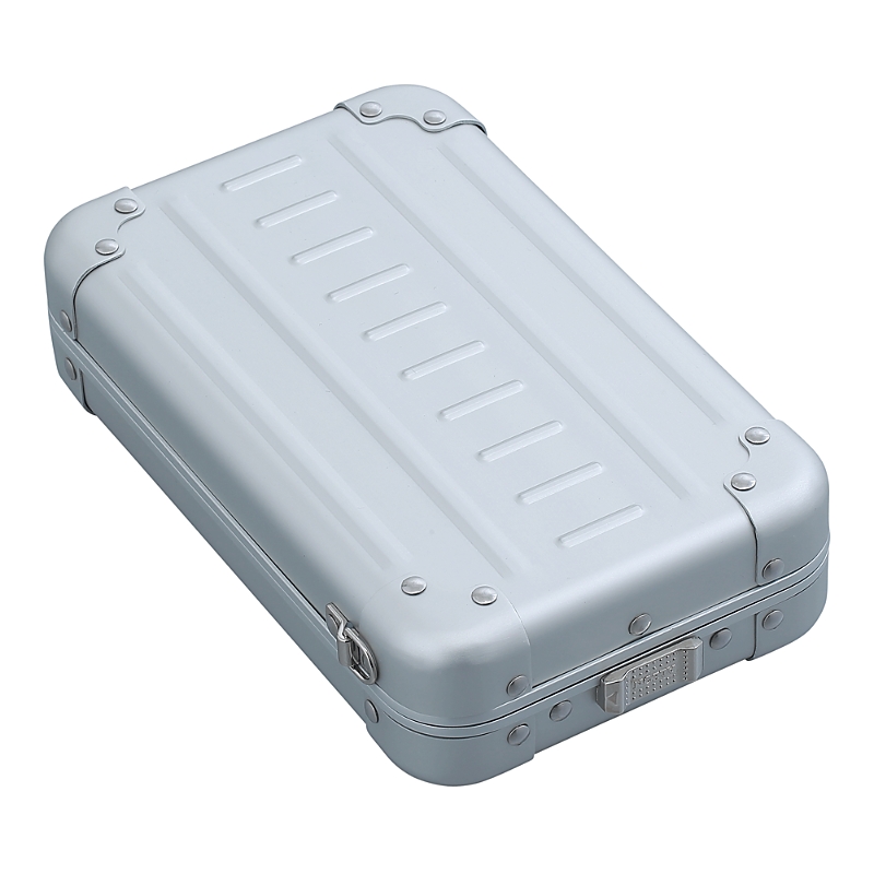 Aleon Small Vertical Personal Sling Case In Platinum