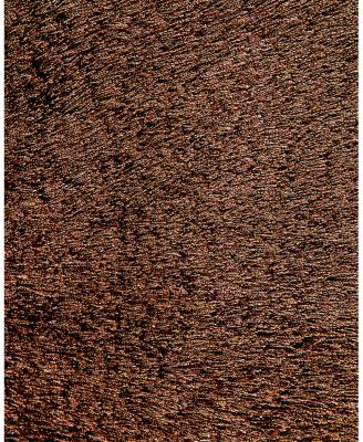 Feizy Indochine 4944550F Area Rug, 2' x 3'4"