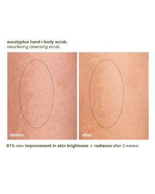 Eucalyptus Hand + Body Scrub 8.5 oz.