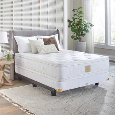 Casper mattress kitten best sale