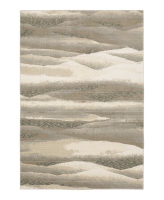 Oriental Weavers - Oriental Weavers Evolution 0982C Area Rug, 3'3" x 5'2"