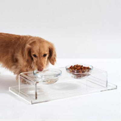 Small Clear Double Glass Bowl Pet Feeder, 1 Quart Bowls