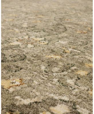 Karastan Euphoria Galway Area Rug, 8' x 11'