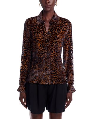 paige desano velvet shirt dress PAIGE Desano Velvet Shirt Dress at MarketFair Shoppes in Princeton, NJ