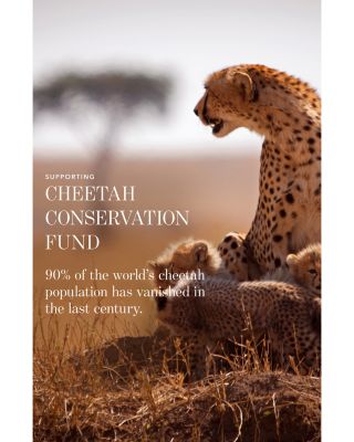 Limited Edition Cheetah Eye Trio