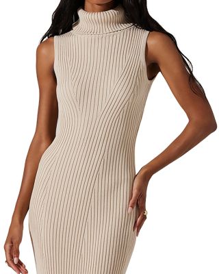 Channary Turtleneck Sweater Dress