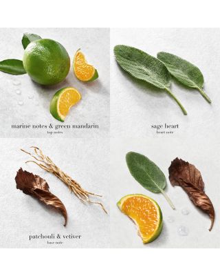 Acqua di Giò Eau de Parfum 3.4 oz.