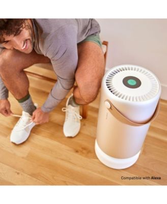 Air Pro with PECO-HEPA Tri Power Filter Air Purifier