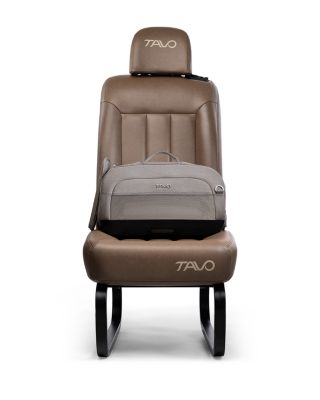 Dupree I Airline Carry On Pet Car Seat