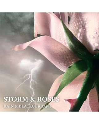 Absolue Storm & Roses Eau de Parfum 3.4 oz.