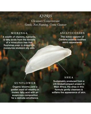 Cleanser Concentrate 2.4 oz.