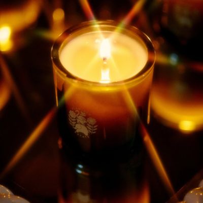 Tuscan Rosemary Candle 8 oz.