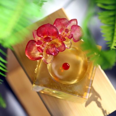 Crystal Flower, Moth Orchid, Red Radiance