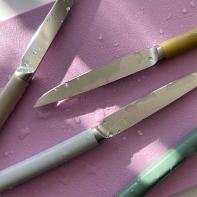 Matte Stainless Steel Set of 4 Table Knives and Holder